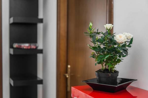 Tolli Hotel Rome Bagian luar foto
